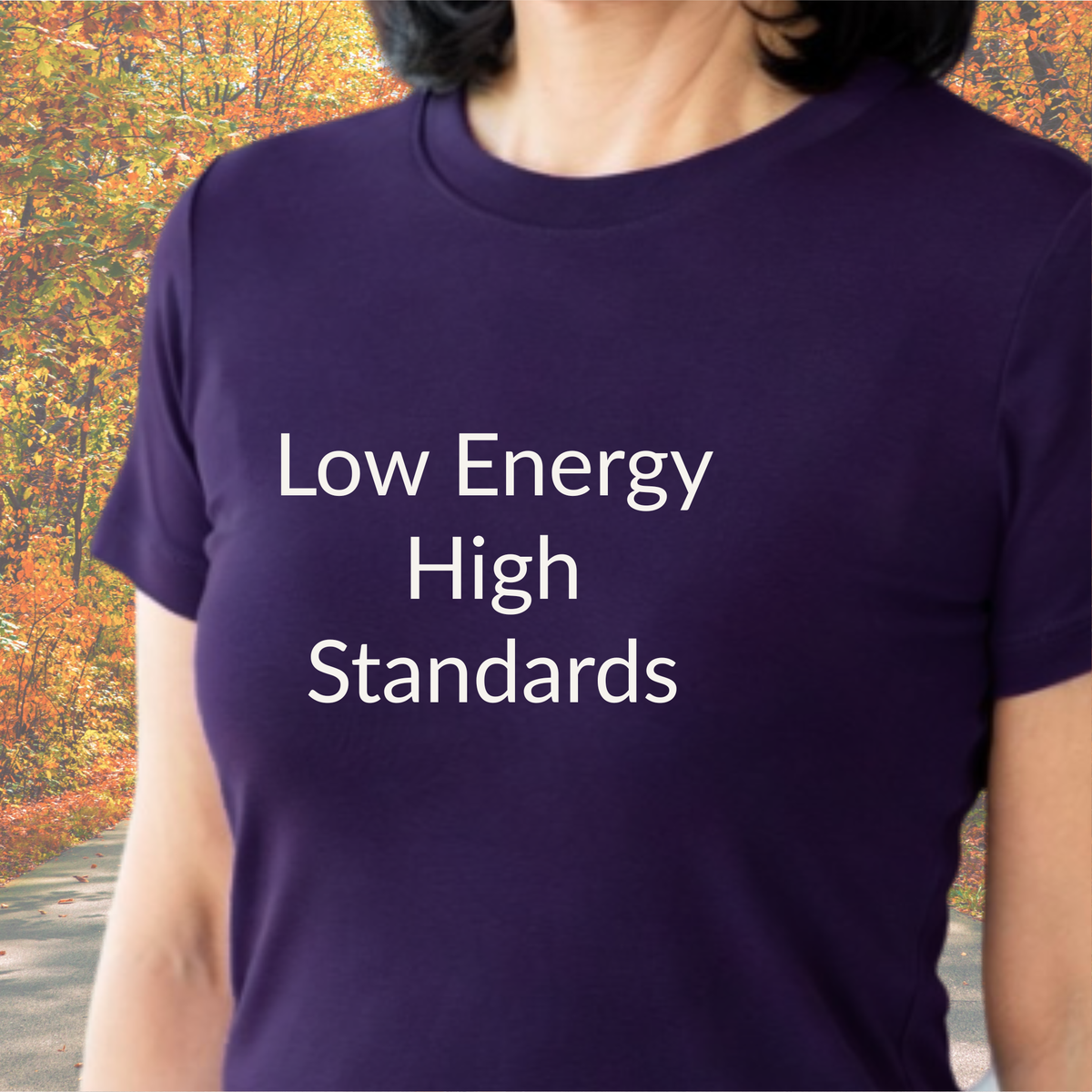 Low Energy High Standards - Unisex T-shirt - Soft Style 100% Cotton